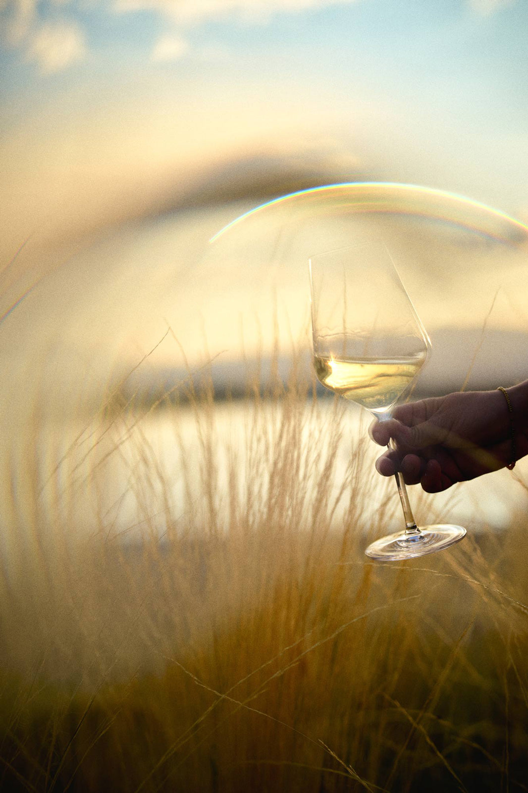 AYA · Chardonnay