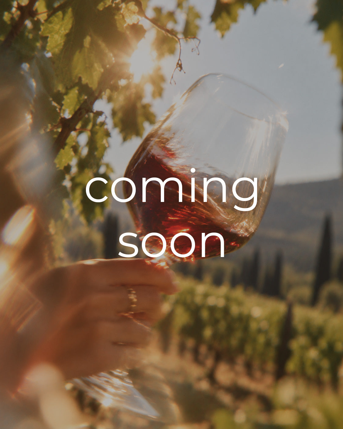 AYA · MELNIK, image coming soon