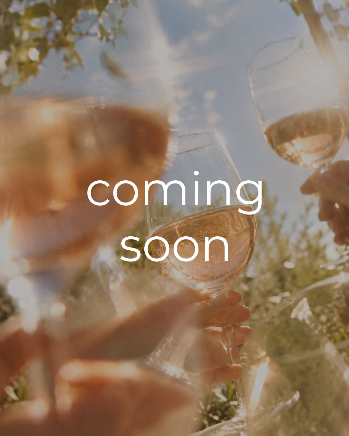 AYA · ROSE, image coming soon