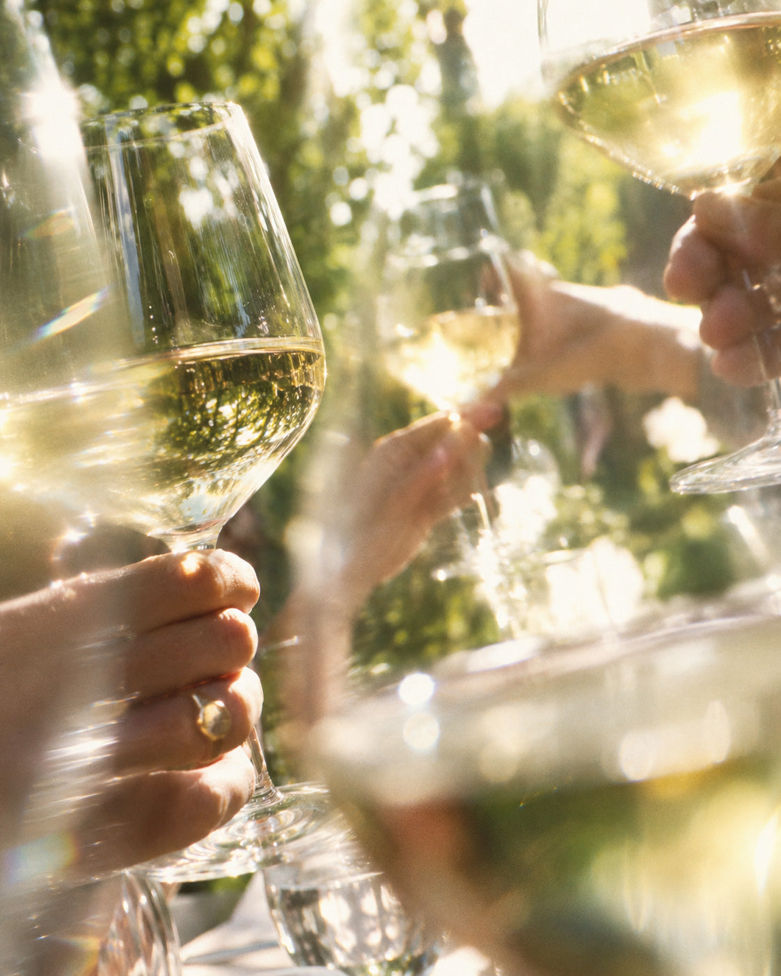 Glasses of white wine raised in a toast outdoors