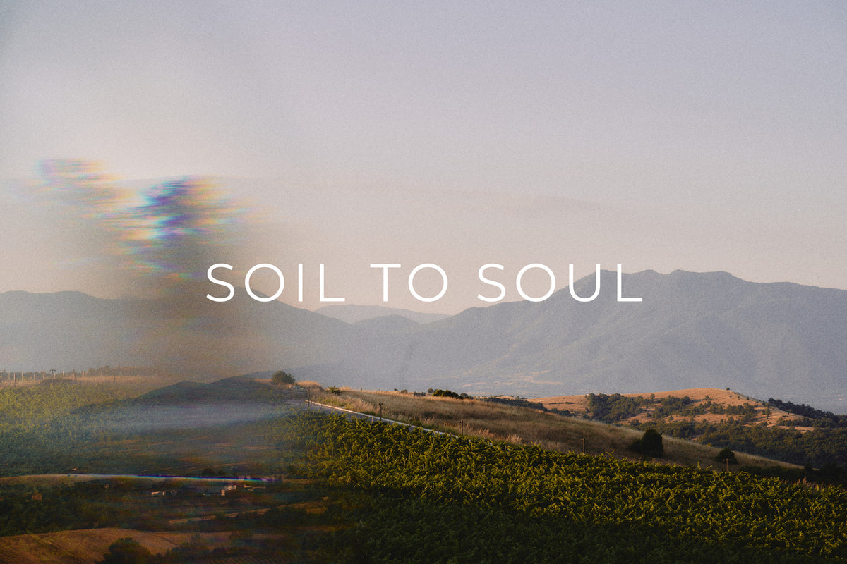 Title frame of the Soil to Soul short film over the AYA Estate vineyards